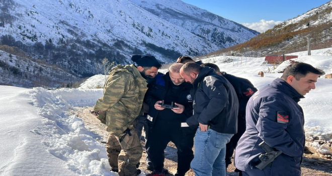 Ardeşen'de Ayı Saldırısından Kaçan Sürü Aranıyor